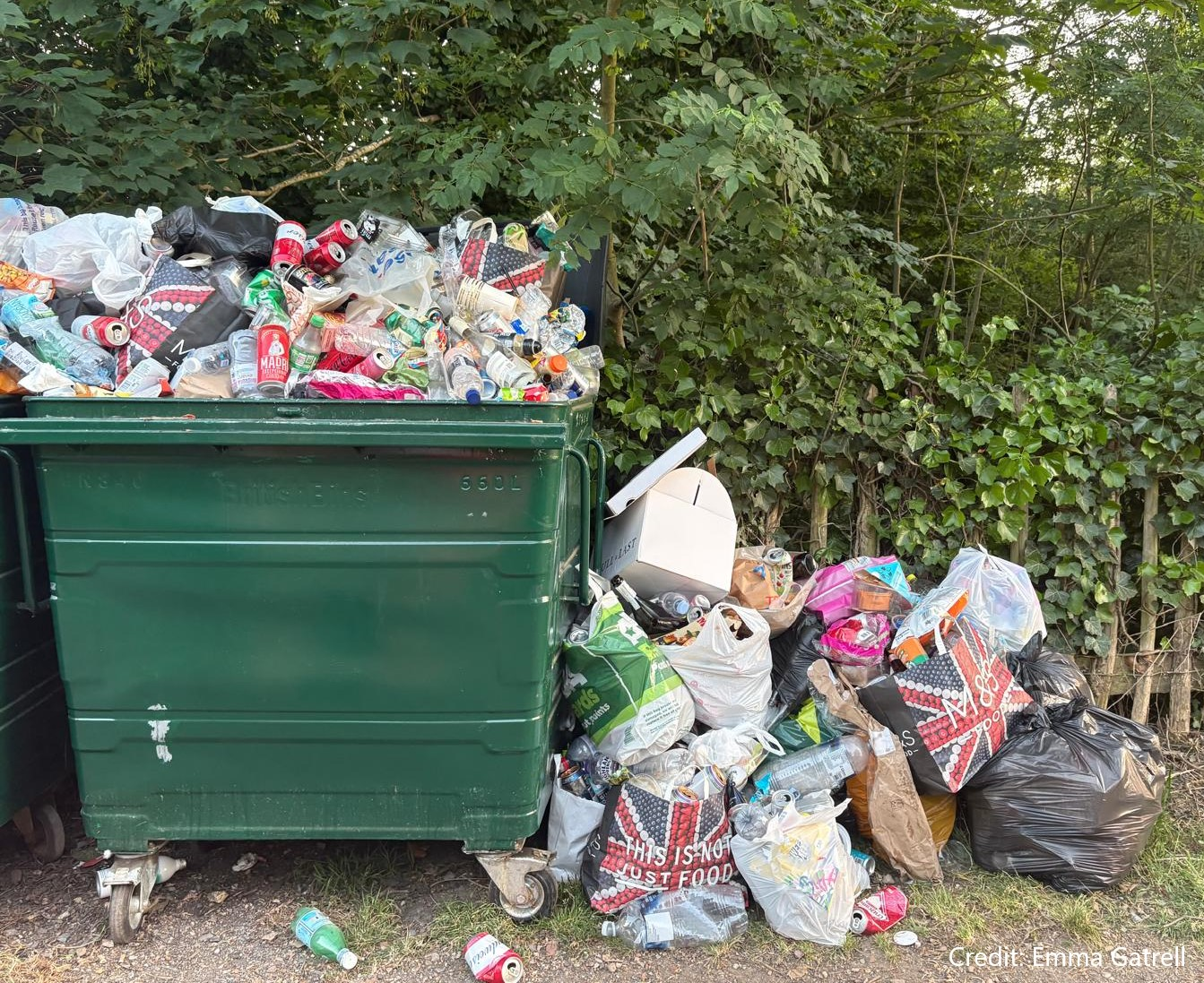 Council adopts AI app ahead of controversial new recycling change